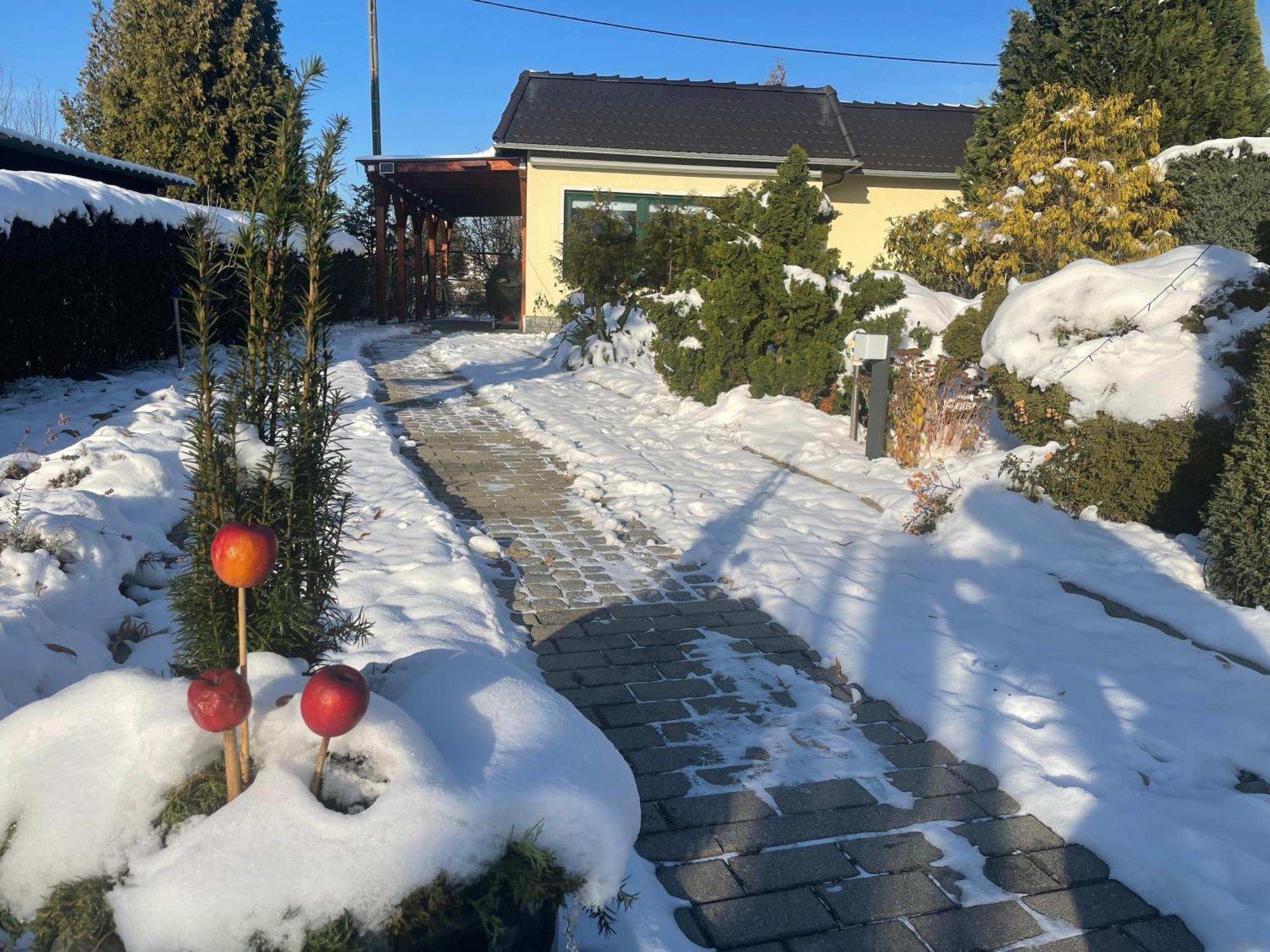 Ferienhaus Amare Mit Fasssauna, Eigener Terrasse & Kamin بوتسن المظهر الخارجي الصورة
